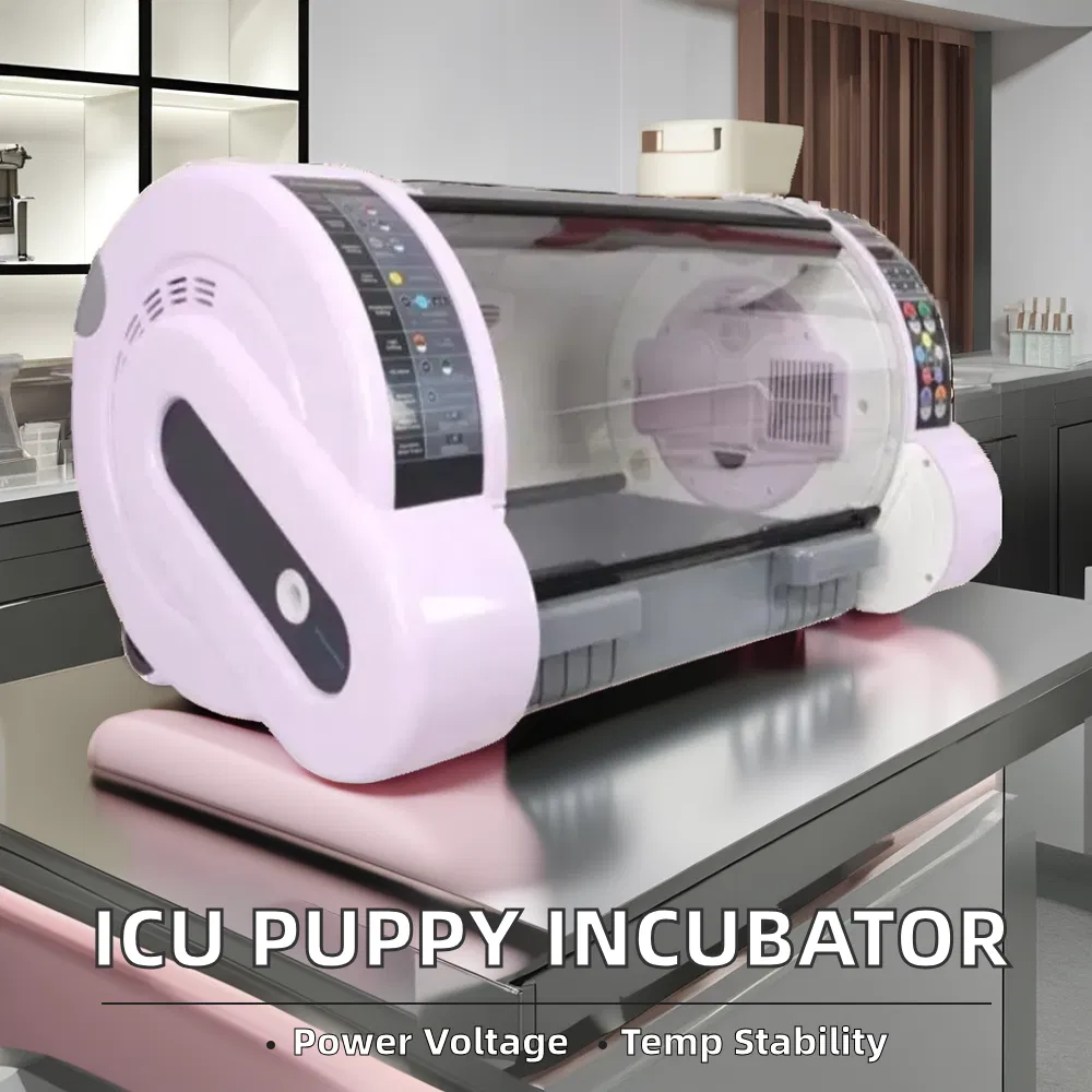 Medical ICU Infant Incubator for Puppy Veterinary Equipment for Animal Hospitals on Sale