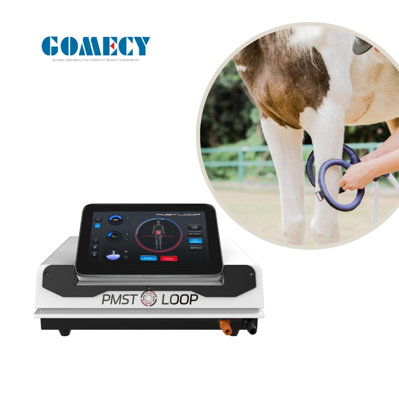 New Physiotherapy Equipment Pemf Magnetic Therapy Device 2 in 1 Pemf Loop Human and Horses for Body Pain Relief