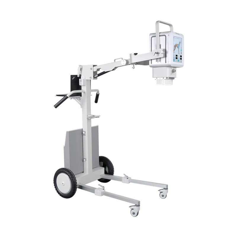 Medical Device Ysenmed Ysx100-PE Veterinary Equipment Dr Digital X Ray Unit with Flat Panel Detector