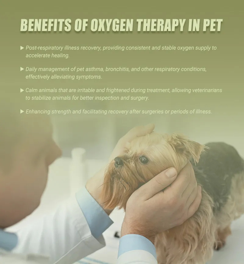 Pet Oxygen Concentrator detail 3