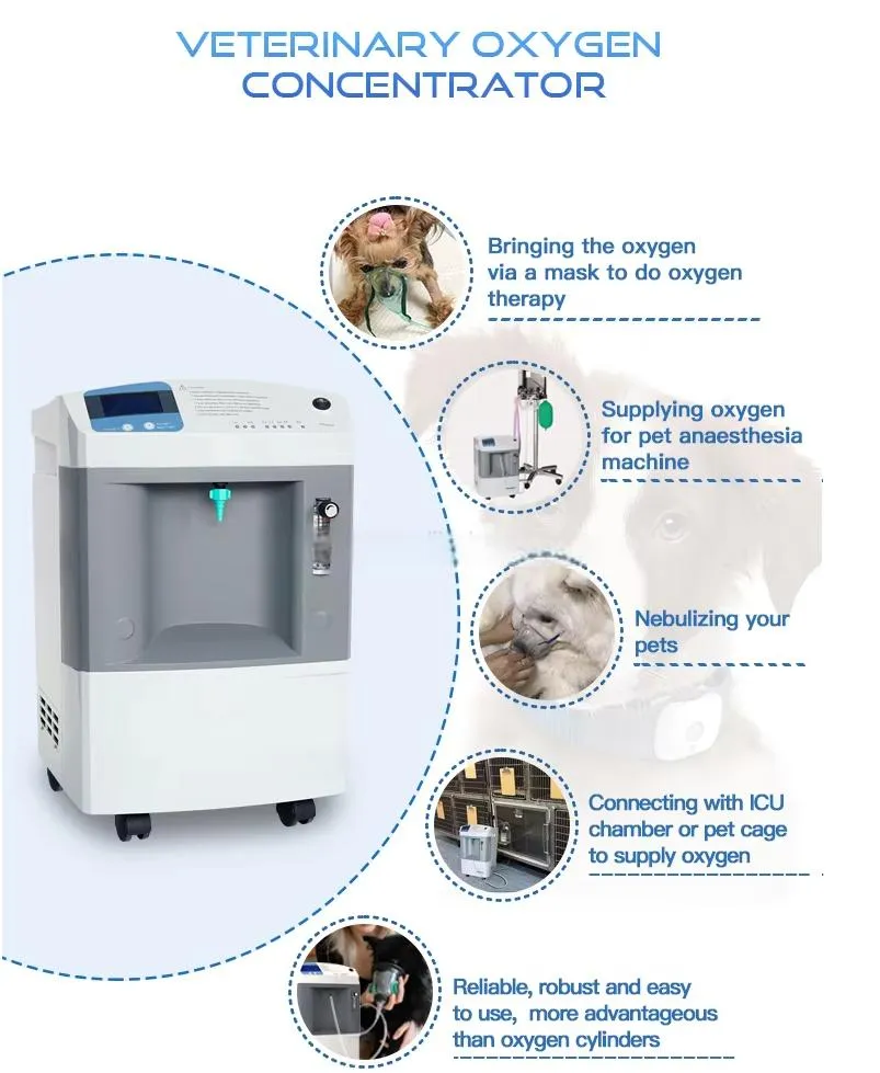 Internal Components Detail