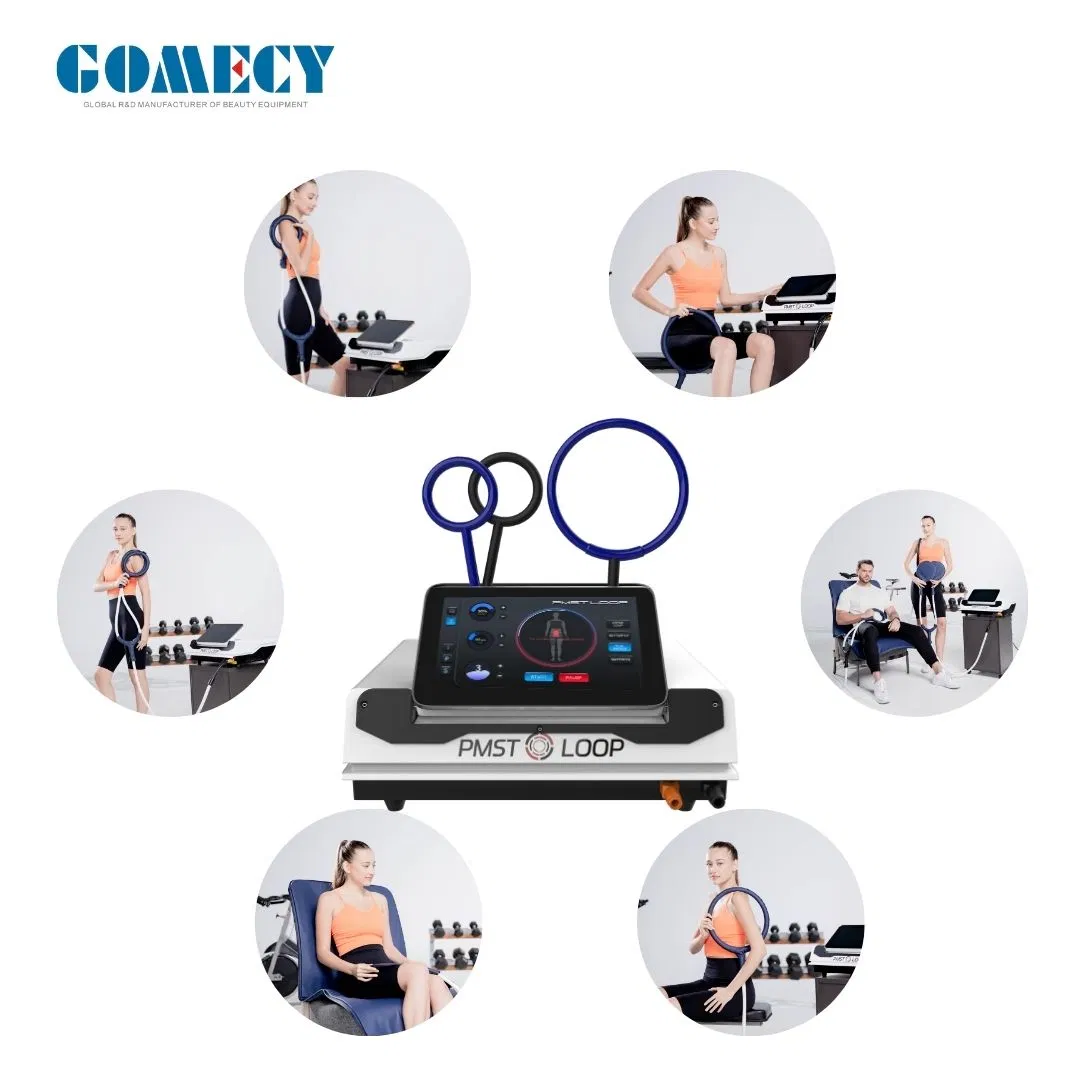 New Physiotherapy Equipment Pemf Magnetic Therapy Device 2 in 1 Pemf Loop Human and Horses for Body Pain Relief