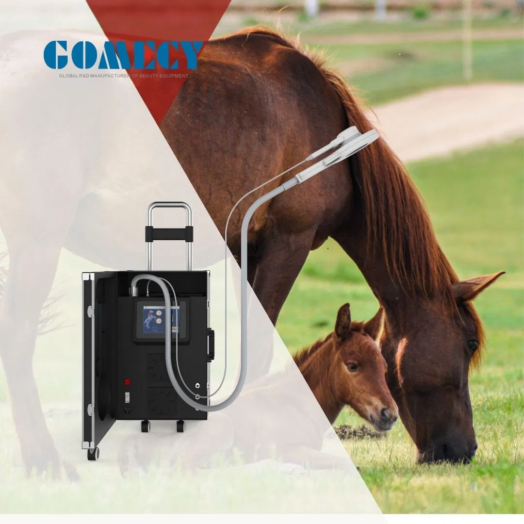 Pmst Magneto Physiotherapy Equipment Pmst Vet Physiotherapy Treatment Equipment