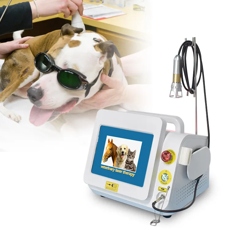 Veterinary Laser Treatment