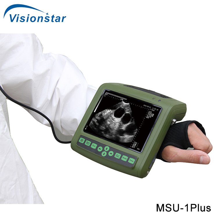 Msu-3 Full Digital Mechanical Sector Ultrasonic Diagnostic Instrument (Veterinary)