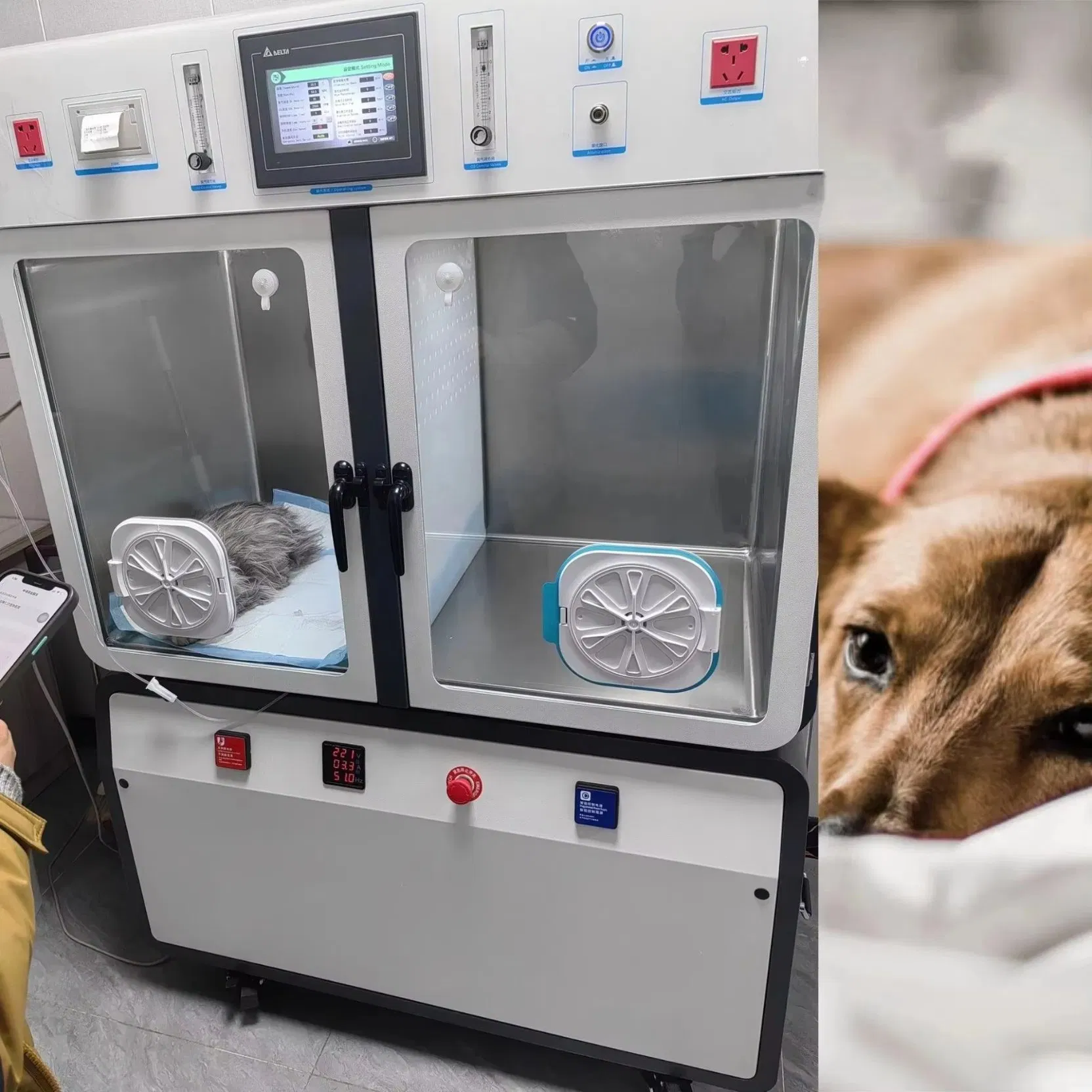 ICU Hospital Stainless Steel Pet Cage Veterinary ICU Cage Veterinary Oxygen Cage