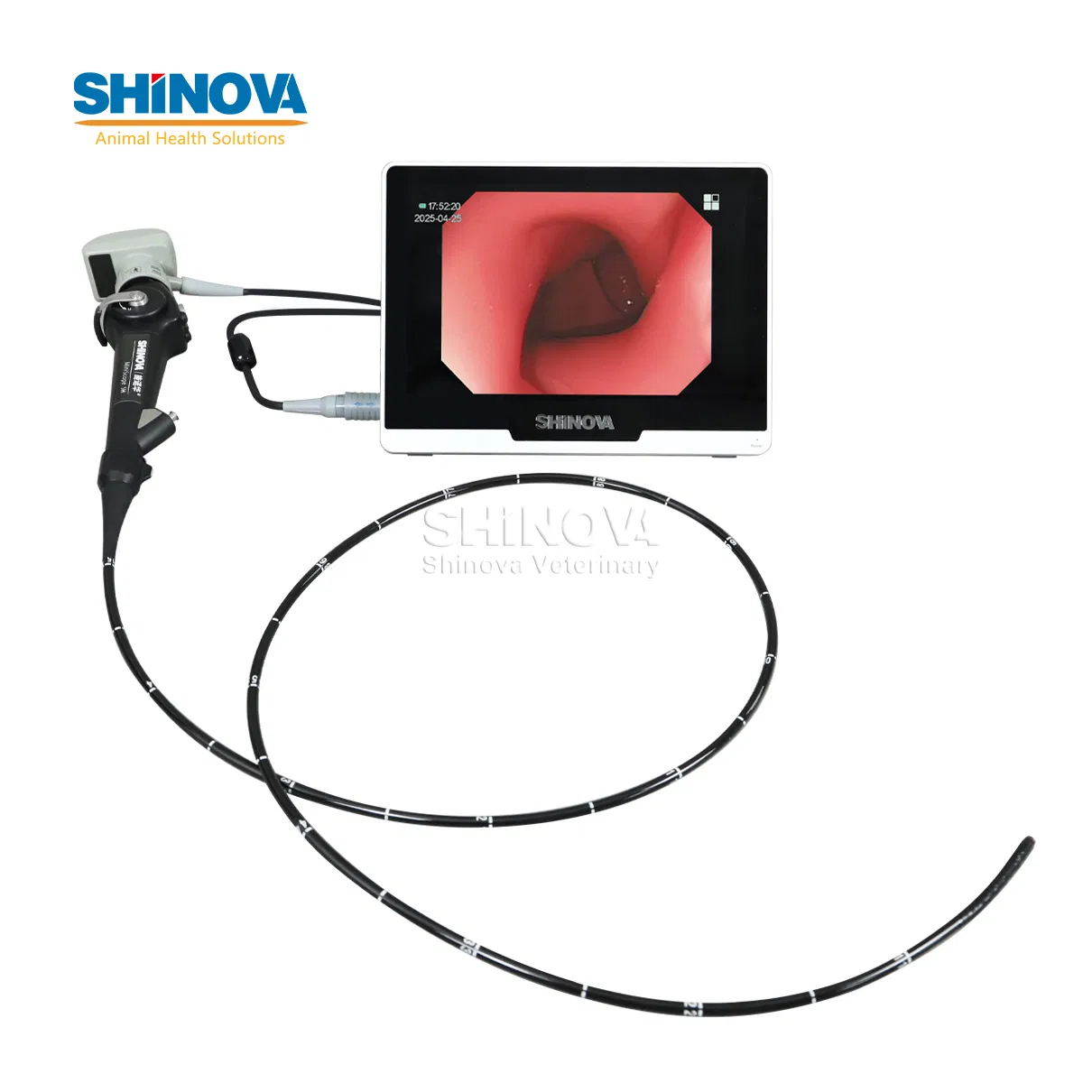 10" Veterinary Flexible Bronchoscope Video Medical Endoscopy Camera System with Monitor