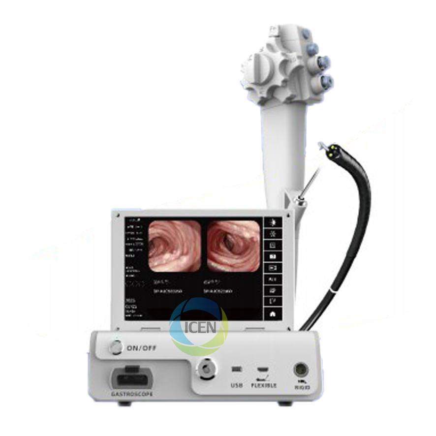 IN-AIO12 Veterinary All-in-One Endoscope Processor Rigid &amp; Flexible Endoscopy Camera System