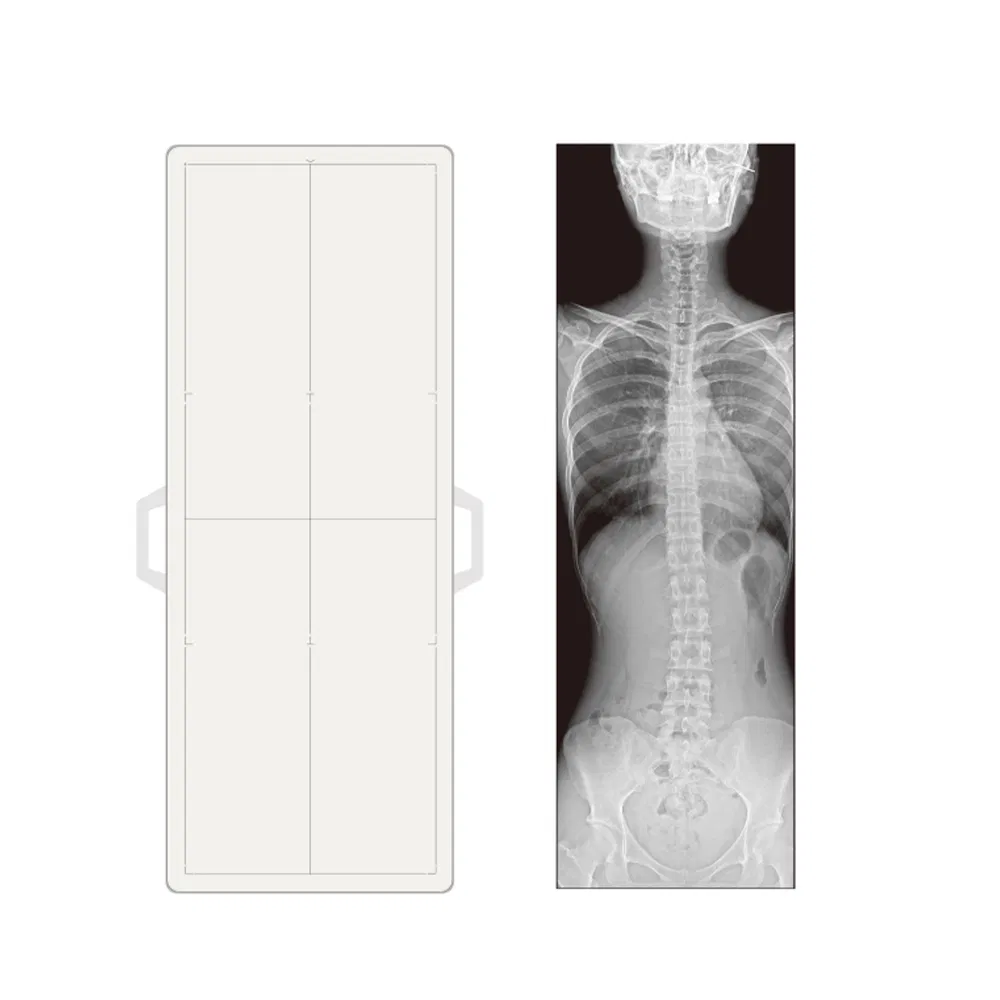 My-D049e-J Dr Medical Digital Medical X-ray Equipment for Veterinary