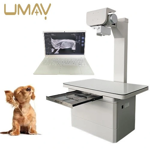 High Quality Electric Pet X-ray Machine Professional Use Metal Animal Health Equipment Veterinary Hospitals Use X Ray
