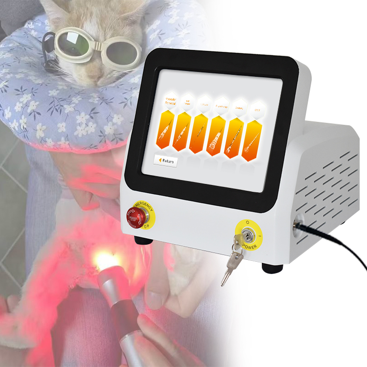 2023 980nm Laser Physiotherapy Veterinary Veterinari Horses Therapy Equipment