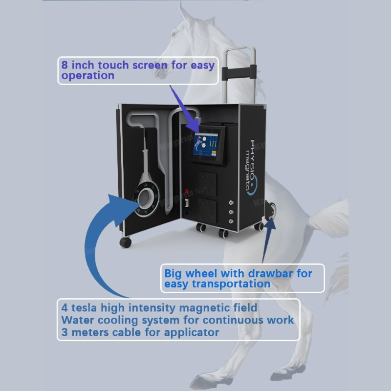 Equine and Pet Muscle Care Equipment Non-Invasive Veterinary Physical Therapy Machine