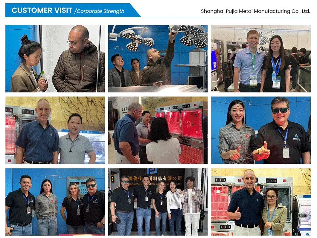 Monitoring Interface