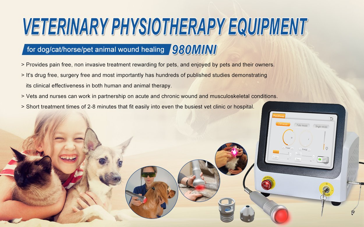 2023 980nm Laser Physiotherapy Veterinary Veterinari Horses Therapy Equipment