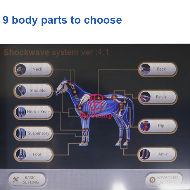 Detailed Application 1