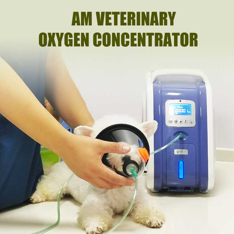 Animal Use Oxygen Inhale Machine Veterinary Medical Oxygen Concentrator 3L