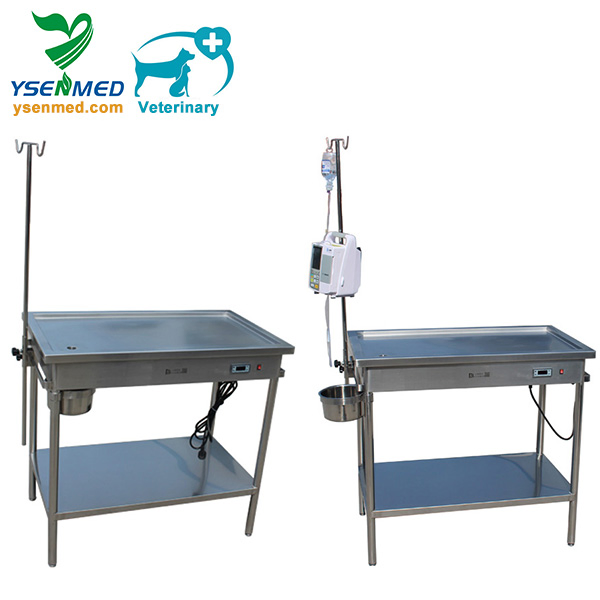Ysvet2105 Stainless Steel Veterinary Equipment Treatment Table Animal Examination Table