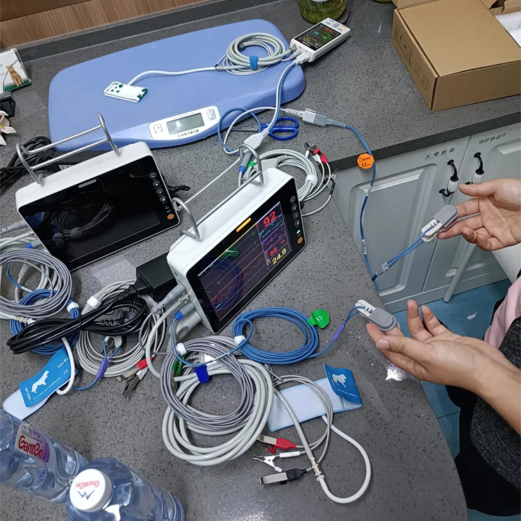 Vet Multiparameter Vital Signs Patient Monitor for Veterinary Animal Hospital