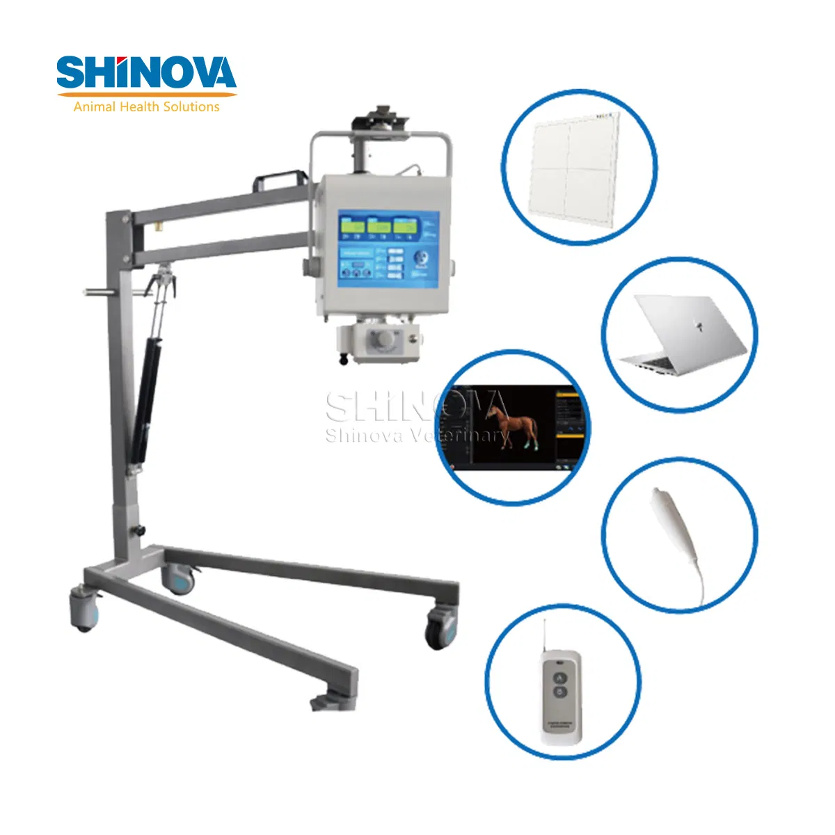 High Quality Medical Equipment Portable Veterinary Digital X-ray (DR) (DR-40V)