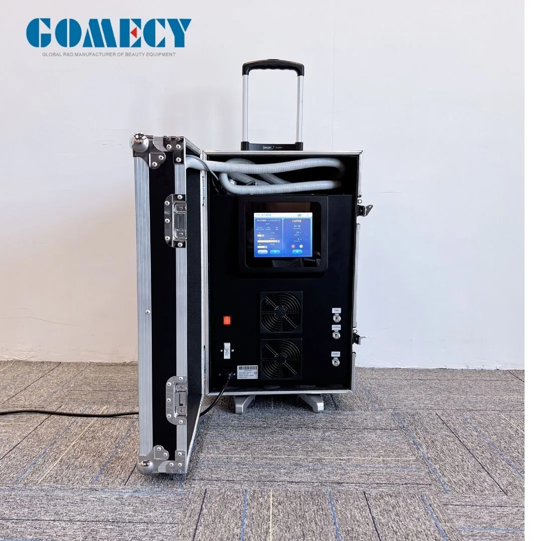 Pmst Vet Horses Muscle Recovery Body Pain Relief Equipment