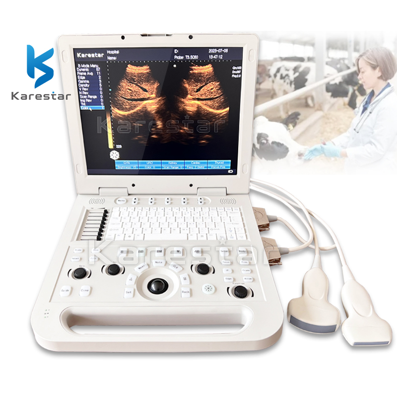 High Quality K-H301 Laptop Veterinary Ultrasonic Diagnostic Instrument Price Vet