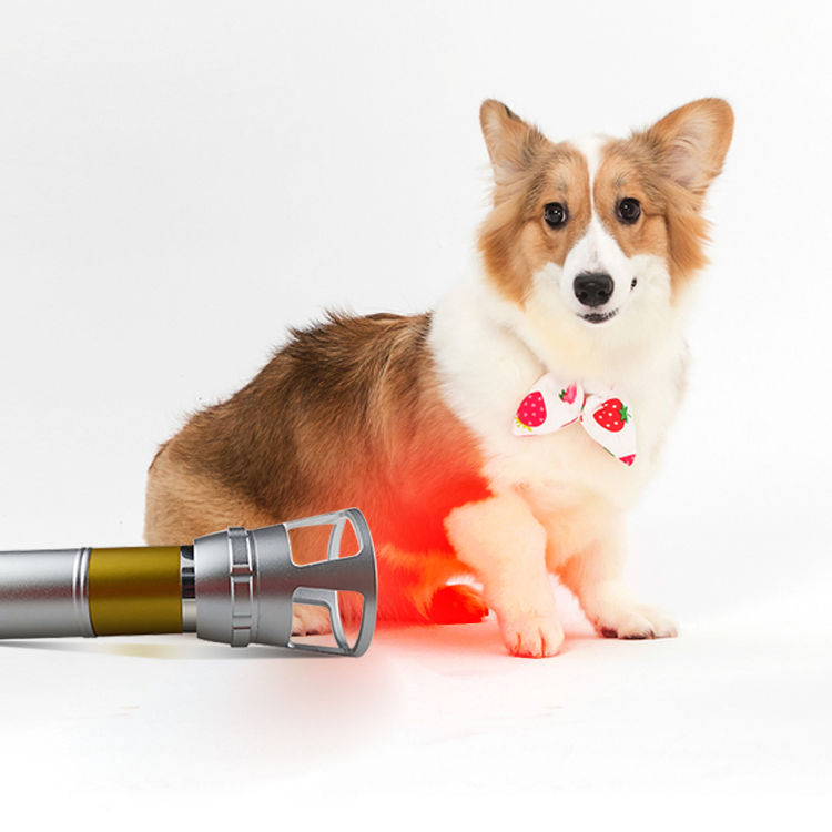 Equine Injuries with Laser Therapy Veterinary Physiotherapy Class 4 High Power Laser Rehabilitation Equipment