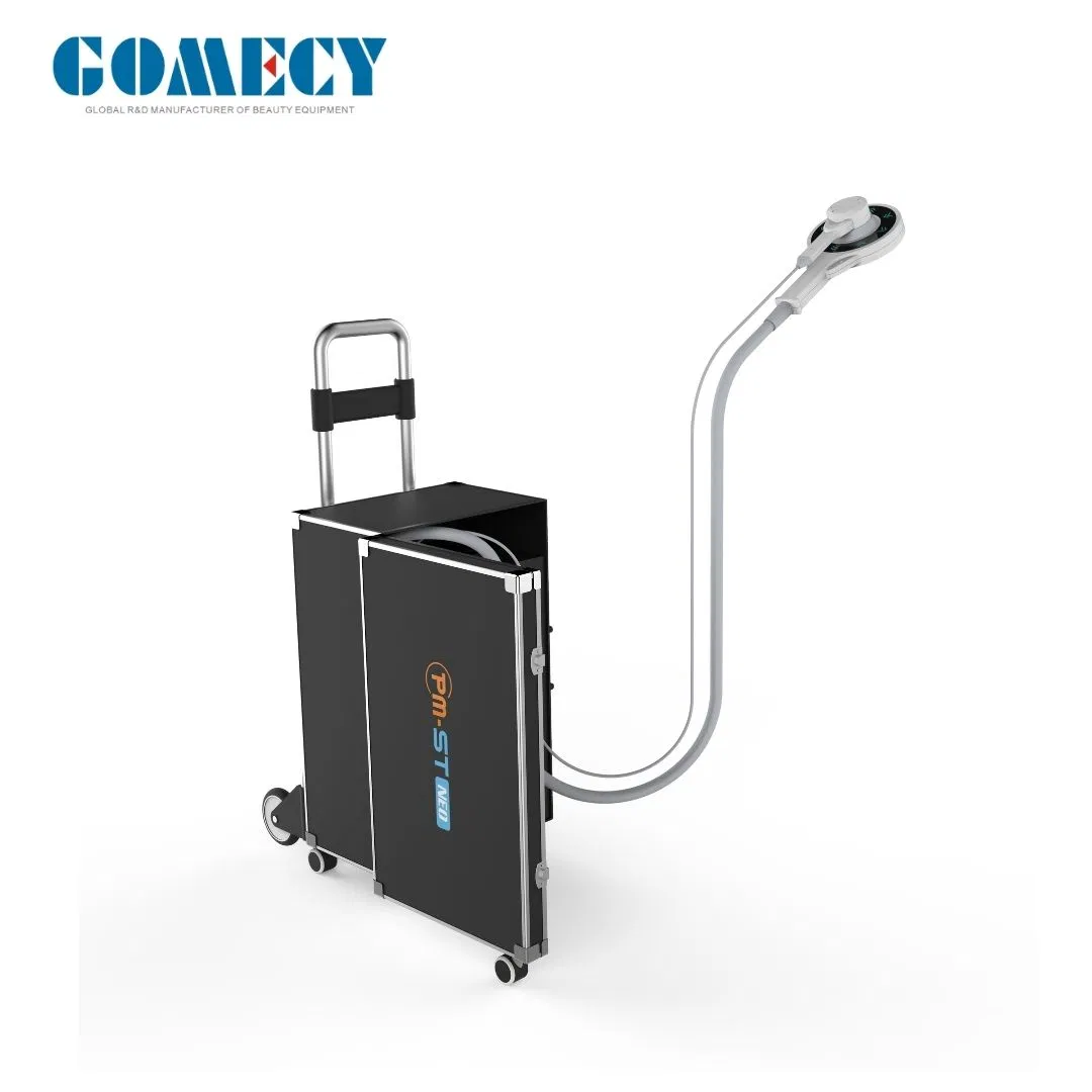 Pmst Vet Magneto Physiotherapy Equipment for Horses Back Legs Pain Remove