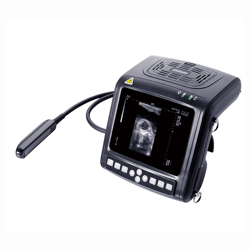 Veterinary Instrument B Mode Ultrasonic Diagnostic Instrument