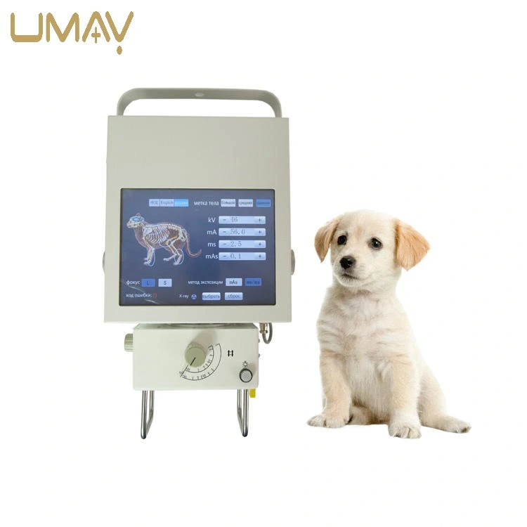High Quality Electric Pet X-ray Machine Professional Use Metal Animal Health Equipment Veterinary Hospitals Use X Ray