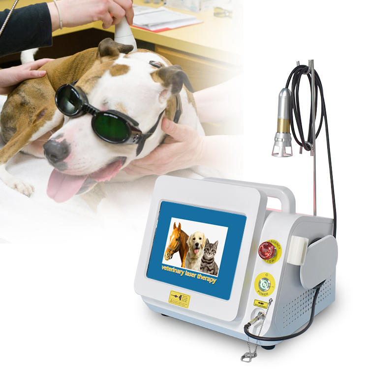 Class IV Laser Physiotherapy Device 980nm Therapy Veterinary Vet Laser Equipment