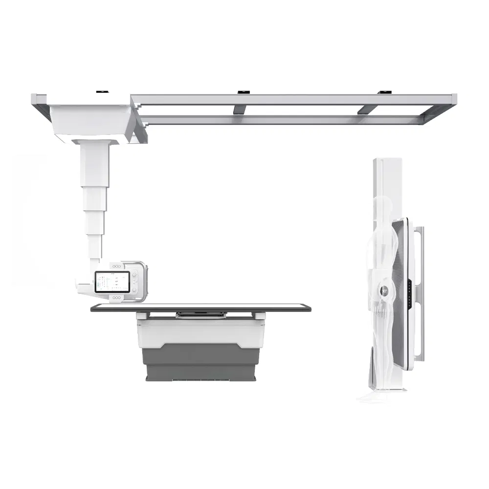 My-D049e-J Dr Medical Digital Medical X-ray Equipment for Veterinary