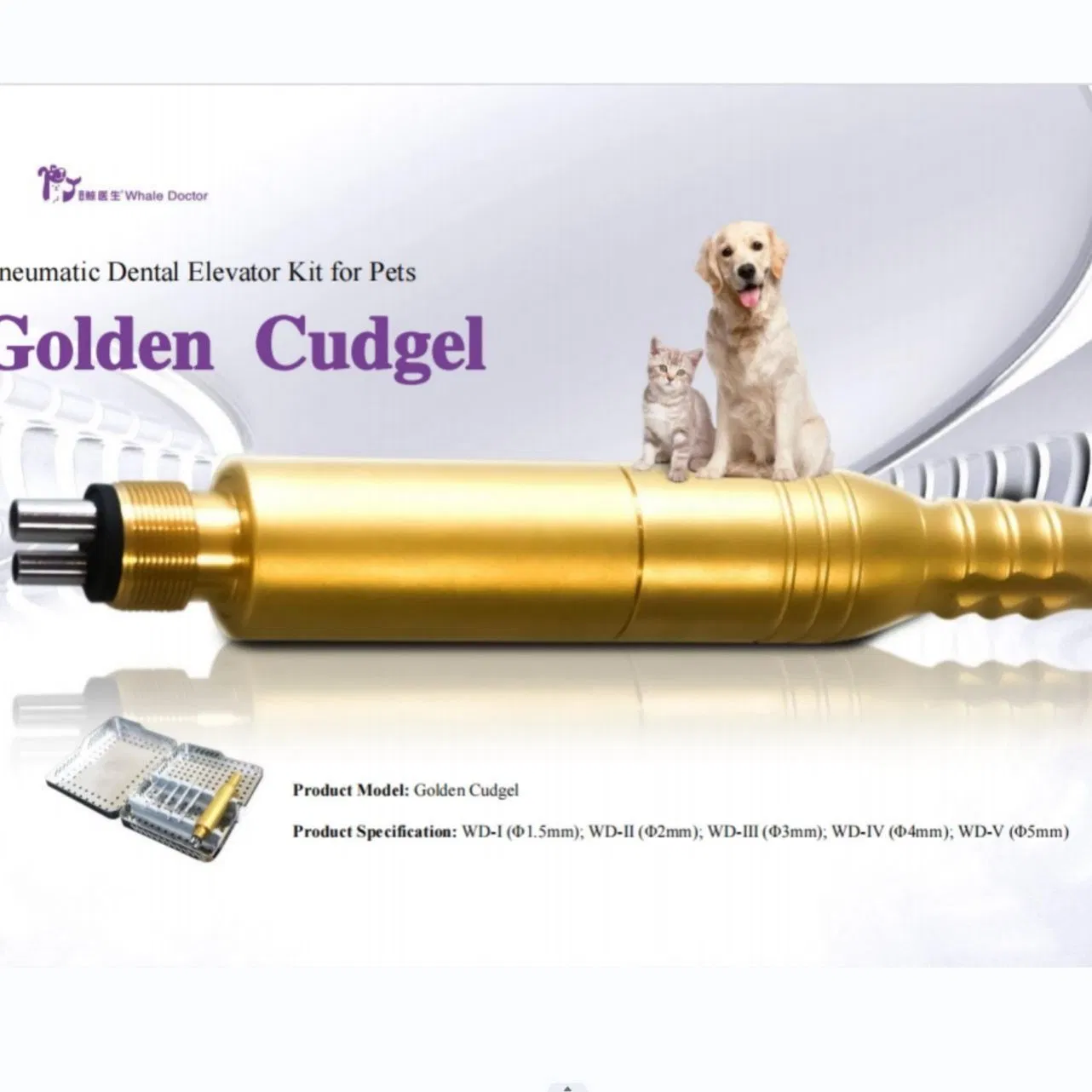 Premium Pet Dental Equipment for Effective and Safe Tooth Extraction Veterinary Instruments