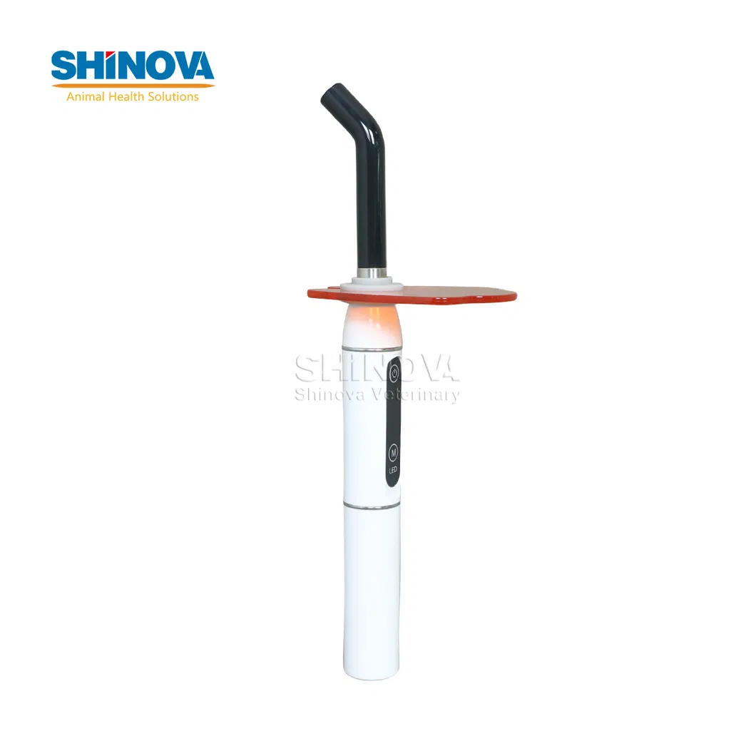 Dental Unit Detail 7