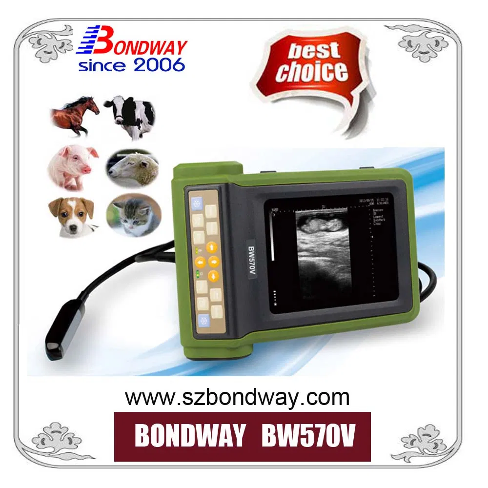 Bondway Bw570V Medical Supply Veterinary Ultrasound Scanner Vet Reproduction Ultrasonic Imaging System