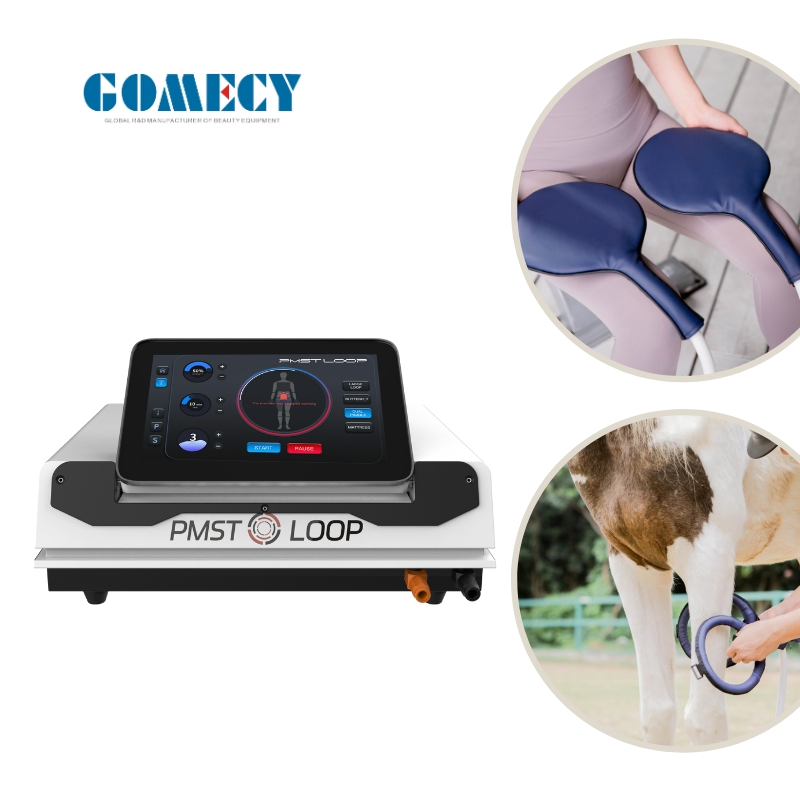 New Physiotherapy Equipment Pemf Magnetic Therapy Device 2 in 1 Pemf Loop Human and Horses for Body Pain Relief