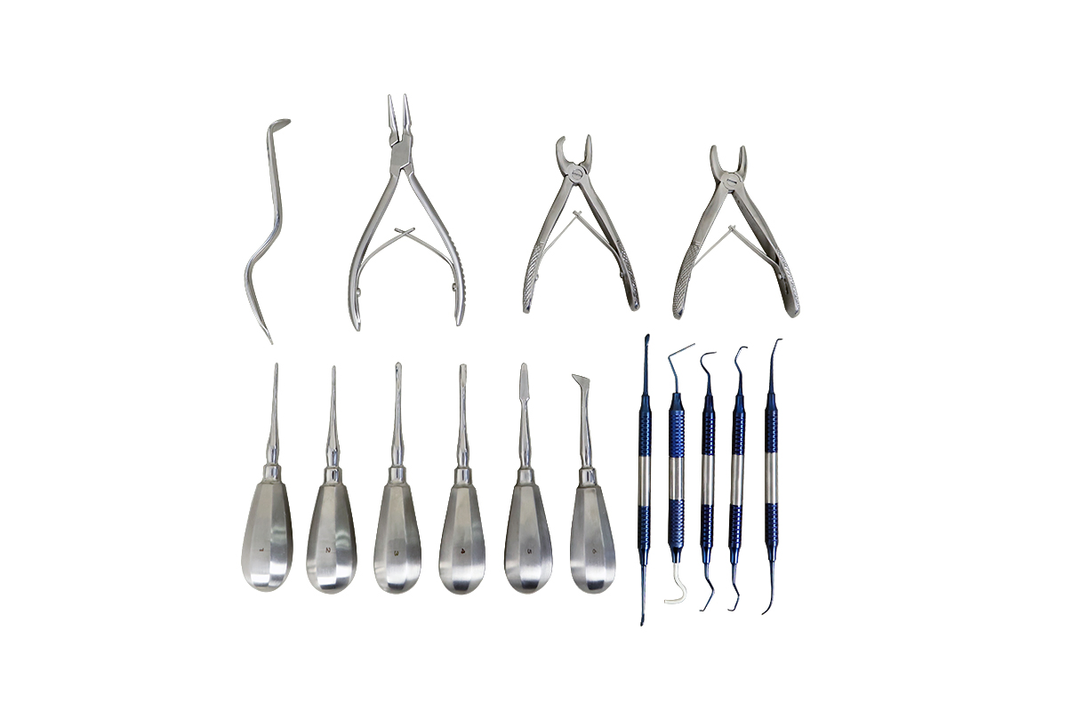 Veterinary Surgery Equipment Veterinary Dental Surgery Pack Sk-D1