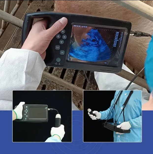 Medical Portable Handheld Professional Animals Palm Full-Digital Veterinary Ultrasound Machine System Price