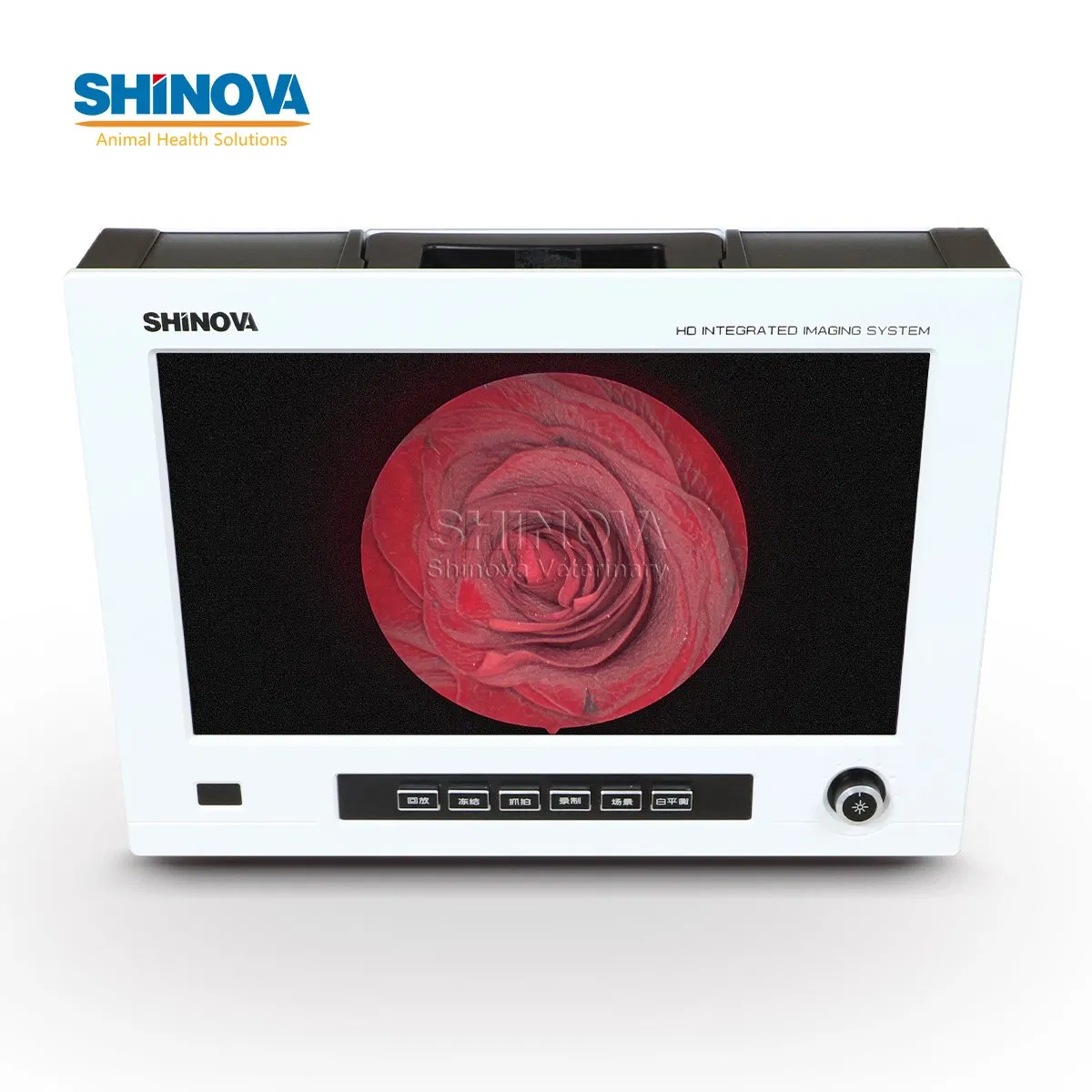 Veterinary Laparoscope Mobile High-Definition Endoscopic Imaging System HD Integrated Endoscopy Imaging System