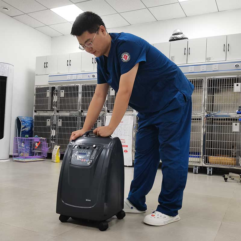 5L Vet Therapy Oxygen Concentrator for Veterinary Clinic