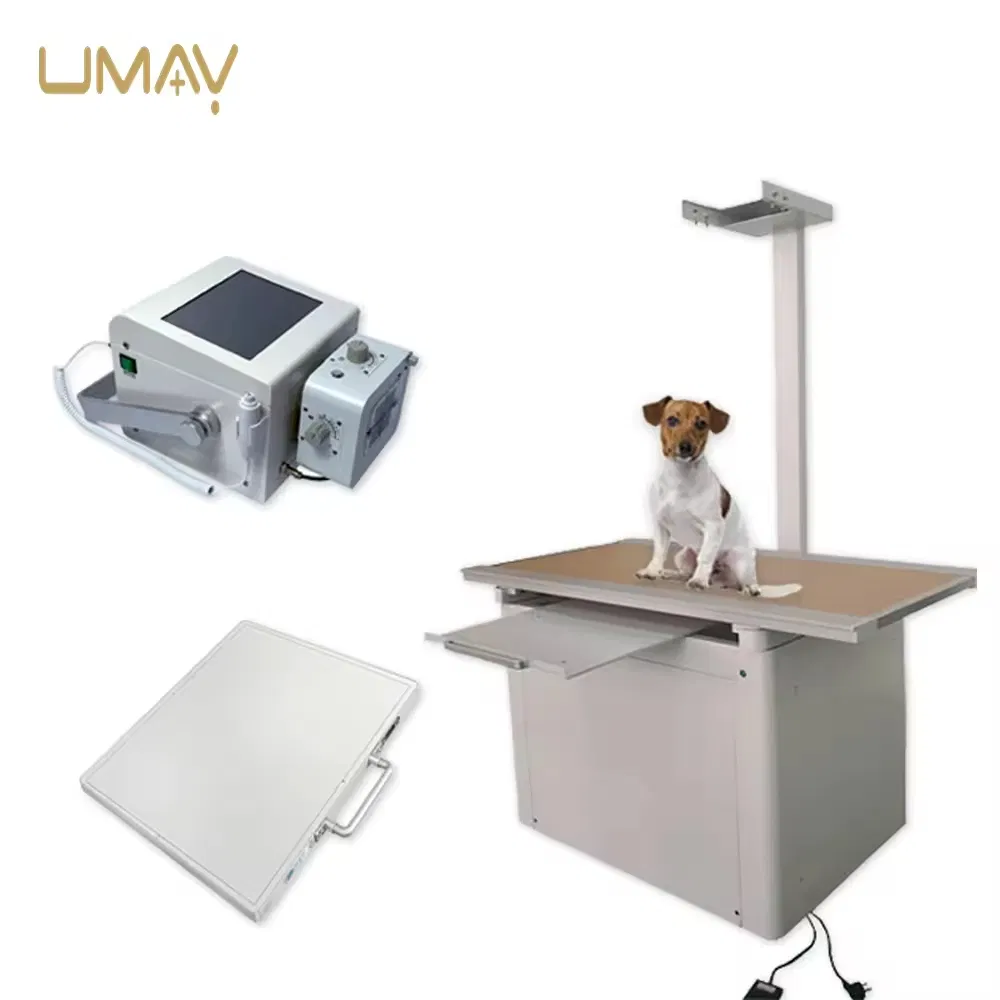 Veterinary X-ray Equipment with Pure Dr Complete Accessories for Medical Imaging Centers