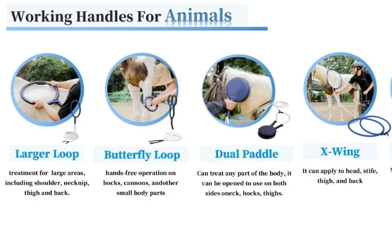 Veterinary Application