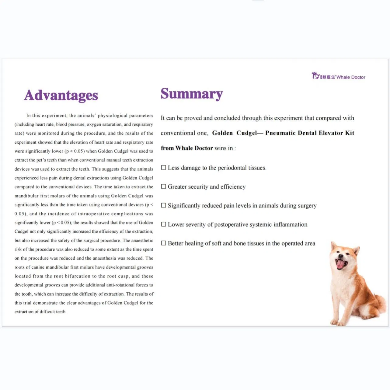 Premium Pet Dental Equipment for Safe and User-Friendly Tooth Extraction Veterinary Instruments