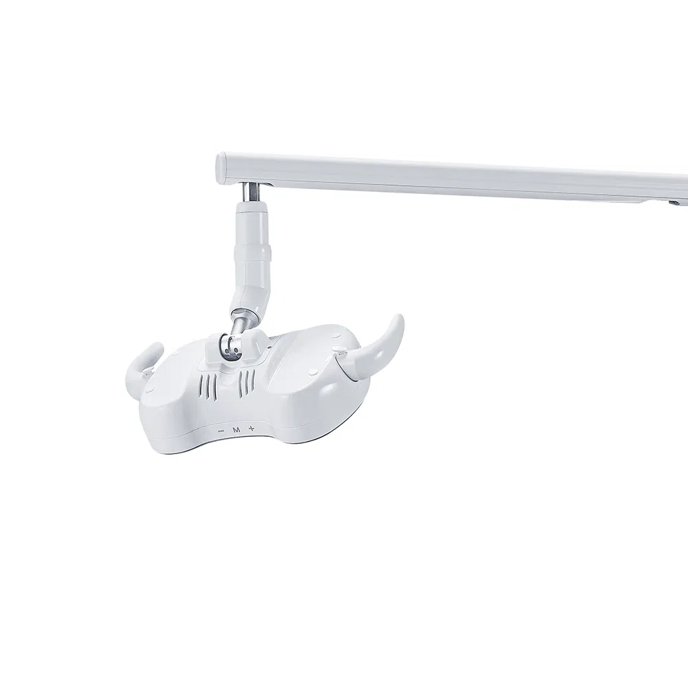 Hot Selling Gladent Veterinary Dental Equipment with Low Price