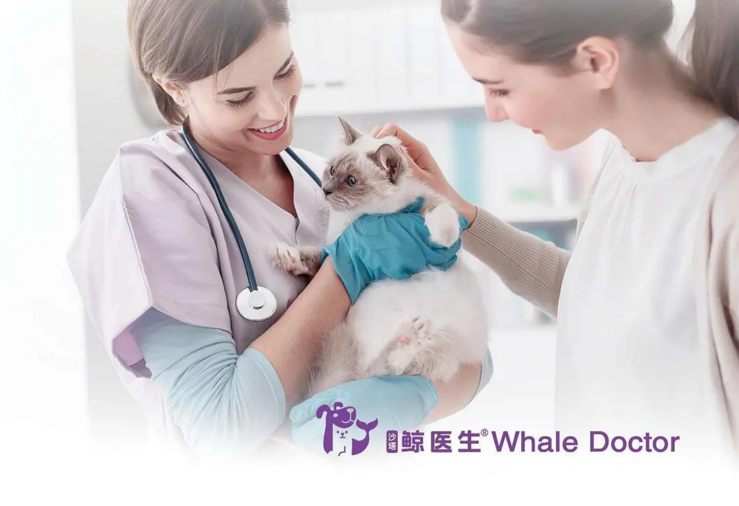 Pet Medical Equipment 1