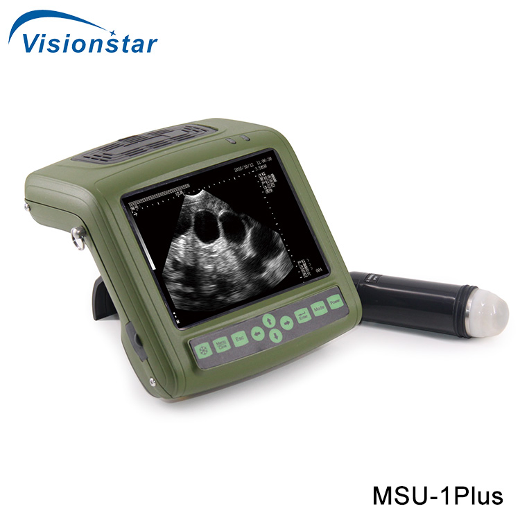 Msu-2 Full Digital Mechanical Sector Ultrasonic Diagnostic Instrument (Veterinary)