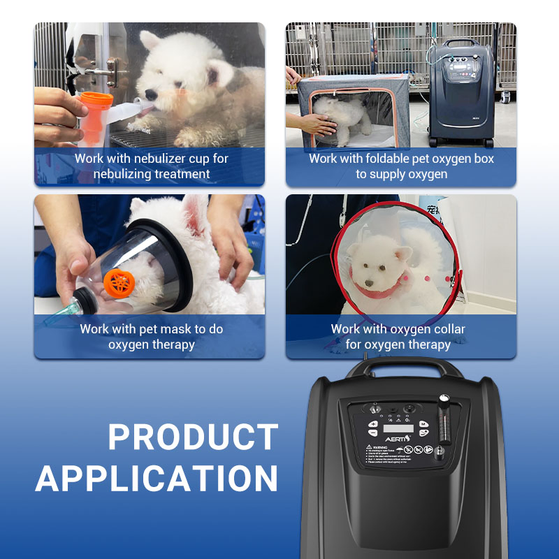 Aerti Veterinary Respiratory Therapy Concentrator Quiet 5L Oxygen Equipment for Animal