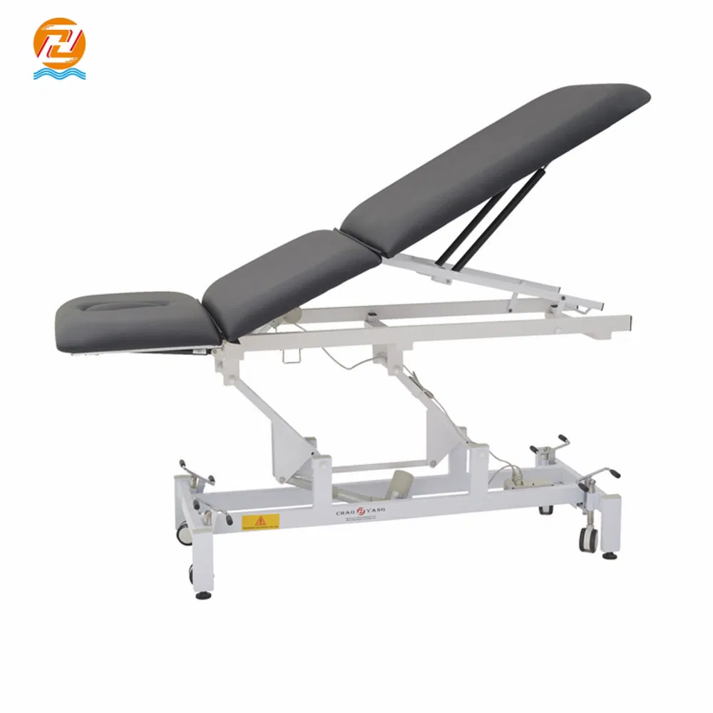 Three Section Multifunction Electric Portable Treatment Table Veterinary Examination Bed