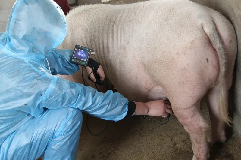 Ultrasound Device Close-up