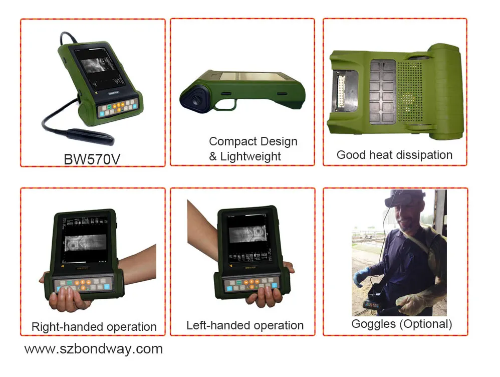 Vet Reproduction Imaging