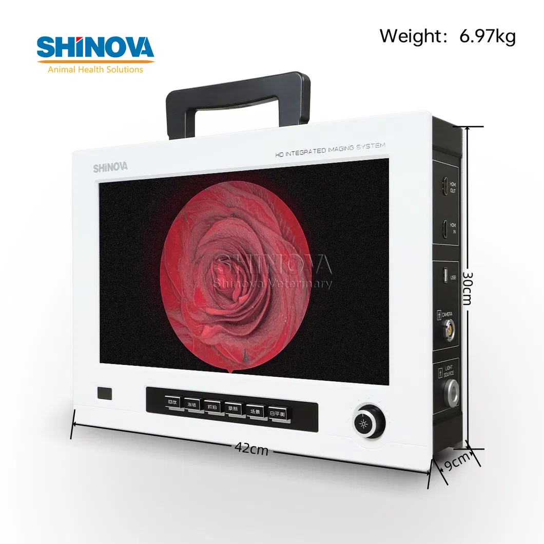 Integrated Endoscopy Imaging System